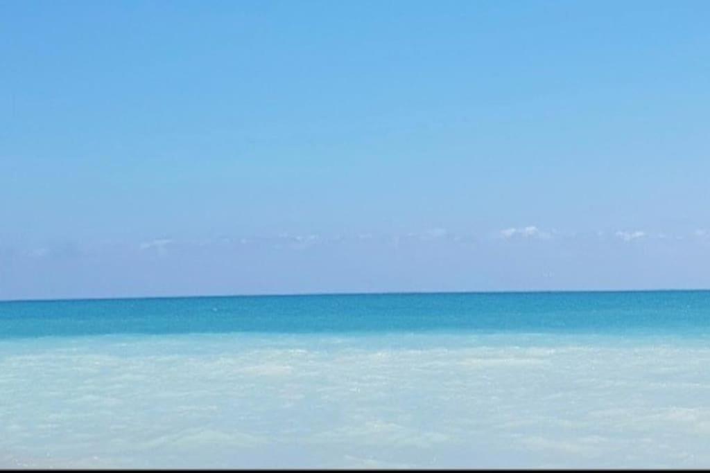Apartamento Junto Al Mar Con Wifi Y Piscina 사군토 외부 사진